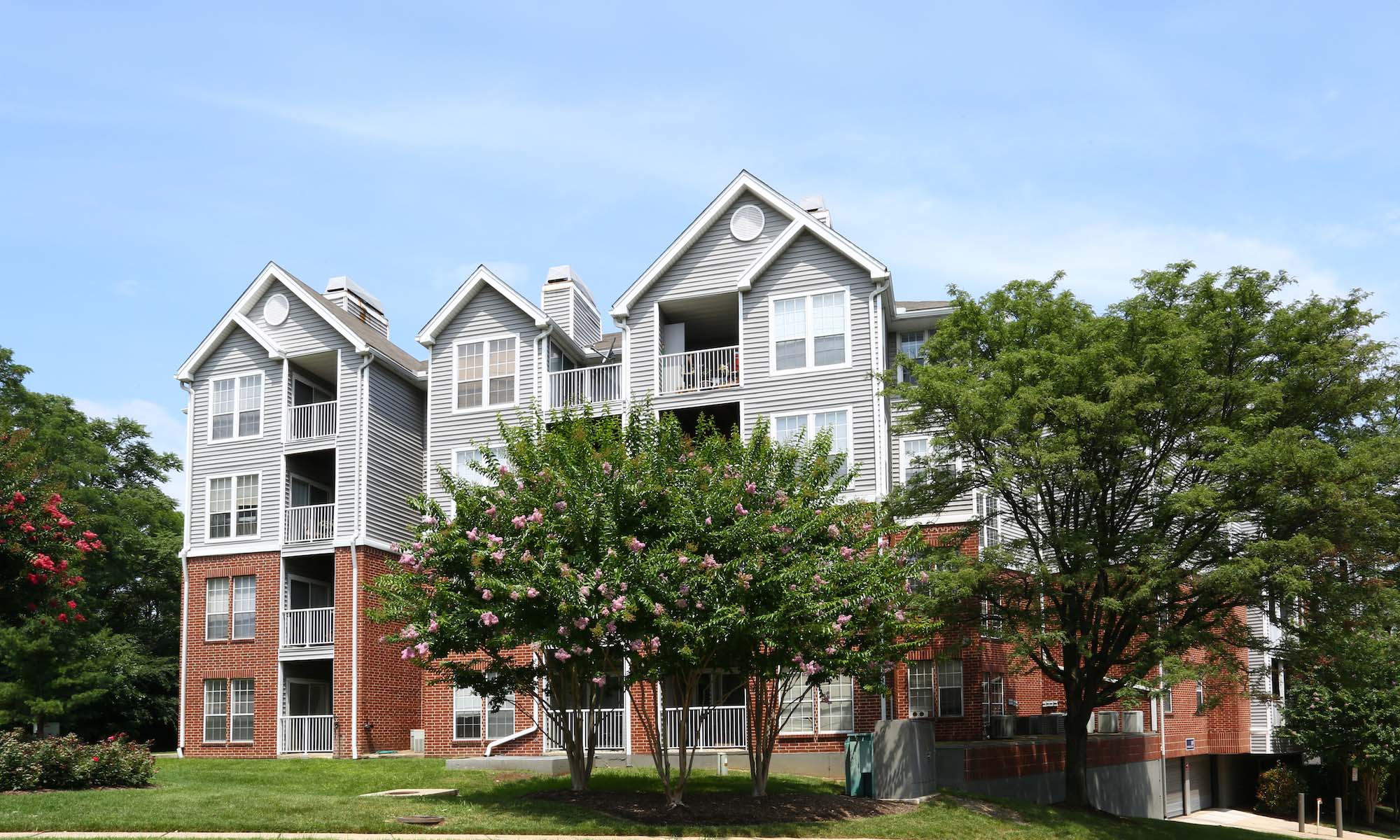 case study featured image