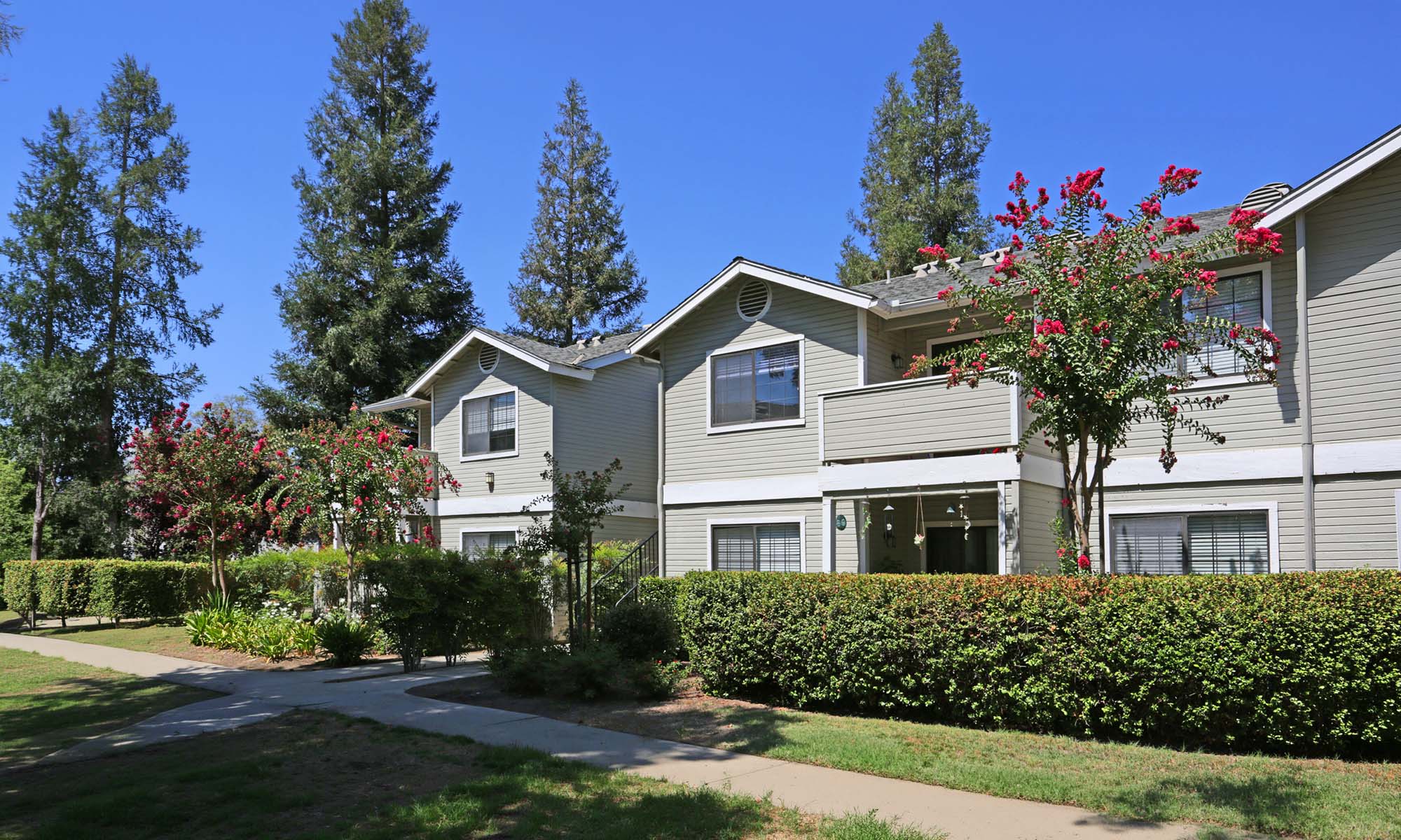 case study featured image