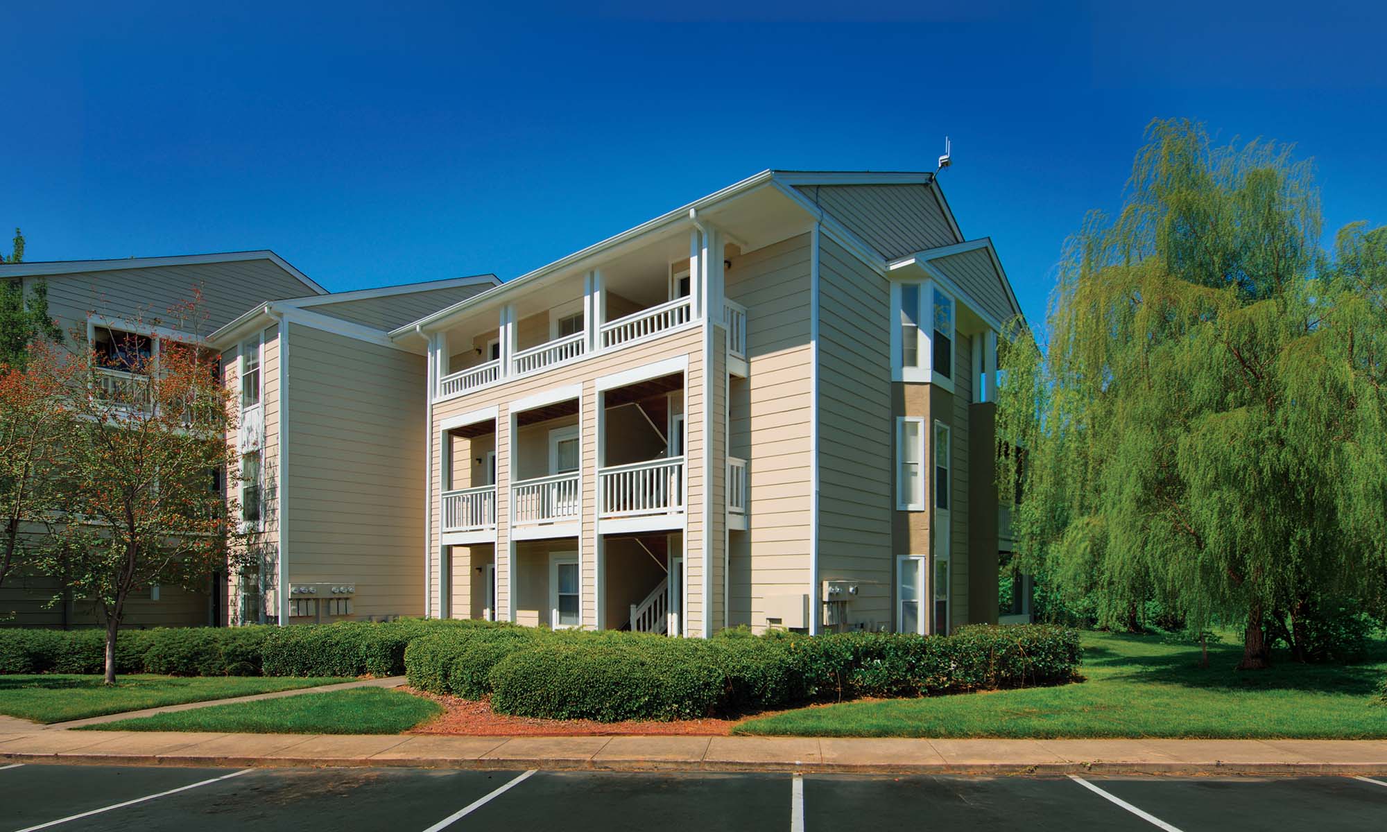 case study featured image