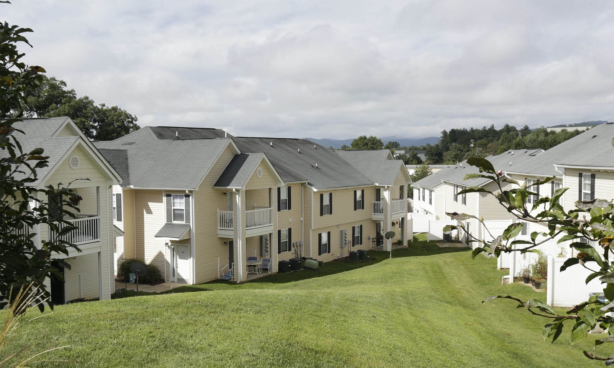 case study featured image